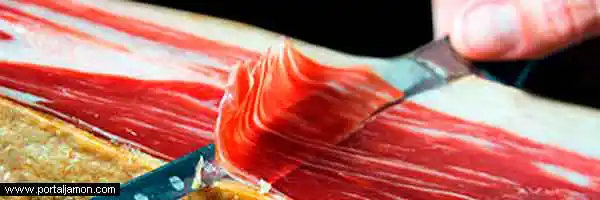 Propiedades alimento jamón